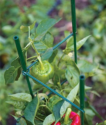 Pro Series Folding Plant Supports