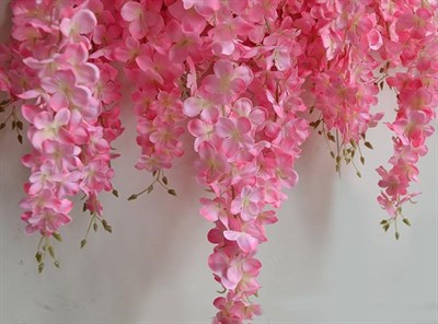 Wisteria Pink Vines