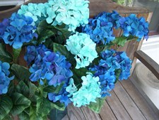 Hydrangea Turquoise Flower Seeds