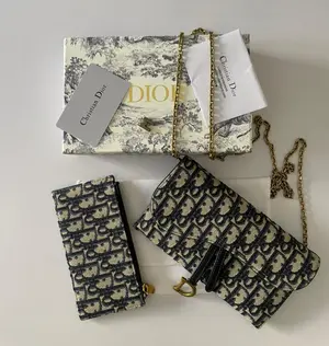 Dior Small Saddle Pouch with Chain - 19cm 