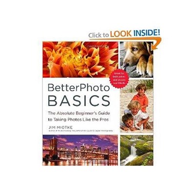 The Absolute Beginner's Guide to Taking Photos Like a Pro