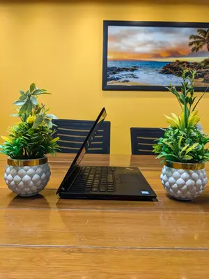 Lenovo ThinkPad T480s Core i7 8th Generation