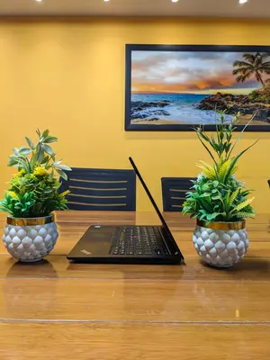 Lenovo ThinkPad T480s Core i7 8th Generation