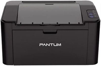 Pantum P2516 Black Laser Printer