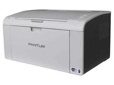 Pantum Black Laser P2509W Printer
