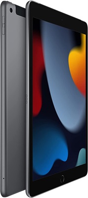 Apple iPad 9th Generation 256GB Wi-Fi Space Grey