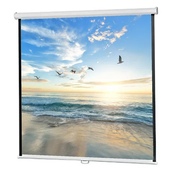 Speed-X Projector Screen 72-Inch Manual 6×6 Feet Matte White