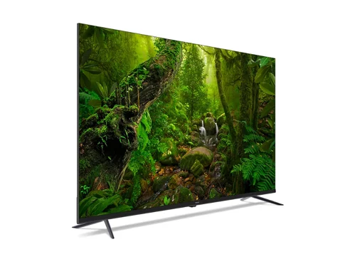 Philips 8100 Series 55″ 4K UHD QLED Google TV (55PQT8169_98)