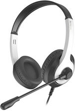 A4tech Fstyler FH100U Stereo Headset - Panda