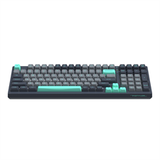 A4Tech Fstyler FS300 Hot-Swappable Mechanical Keyboard -  Panda Rock Climbing/Panda Snorkeling