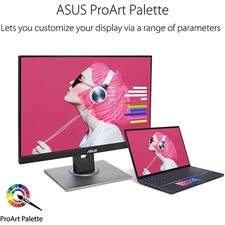 ASUS ProArt PA248QV 24.1" WUXGA Designing Monitor