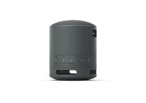 Sony SRS-XB100 Portable Bluetooth Speaker