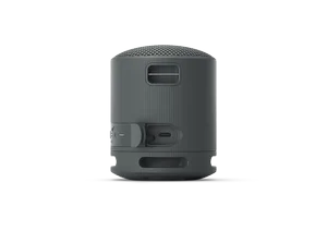 Sony SRS-XB100 Portable Bluetooth Speaker