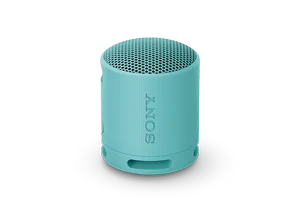 Sony SRS-XB100 Portable Bluetooth Speaker