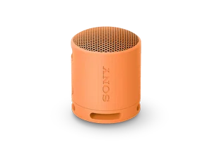 Sony SRS-XB100 Portable Bluetooth Speaker
