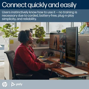 Poly Blackwire 3320 Stereo Microsoft Teams USB-C Headset with USB-C/A Adapter (214013-101)