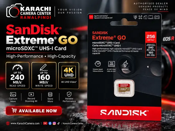 SanDisk Extreme GO 256GB microSDXC UHS-I Memory Card