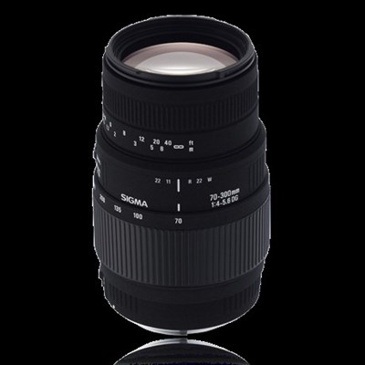 Sigma 70-300 DG Macro