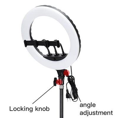 Jmary Ring Light 14″Inch