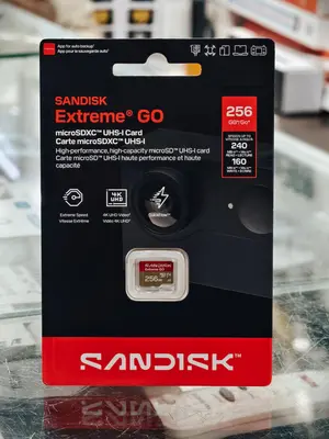 SanDisk Extreme GO 256GB microSDXC UHS-I Memory Card