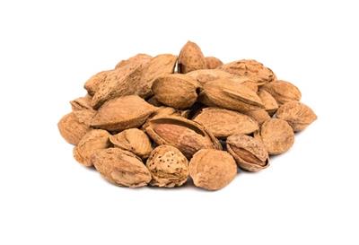 Australian Almond ( Kaghzi Badam )