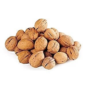 WALNUT (US)