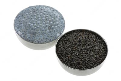 BASIL SEEDS