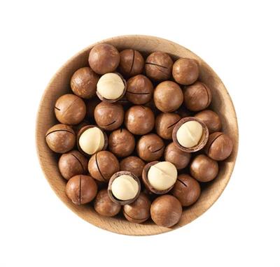 Macadamia Nuts