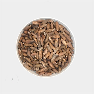 PINE NUTS
