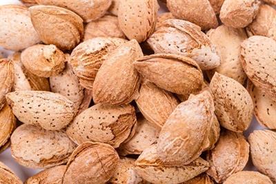 Australian Almond ( Kaghzi Badam )