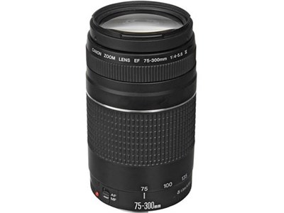 Canon EF 75-300mm f/4-5.6 III Lens