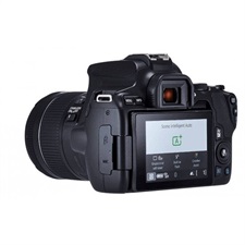 Canon EOS 250D DSLR Camera with 18-55mm III Lens