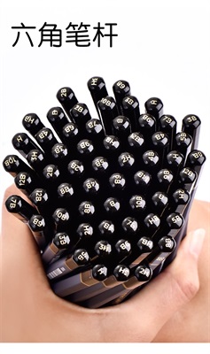 Deli S999 Nuevo Sketching Pencils 12 Pack
