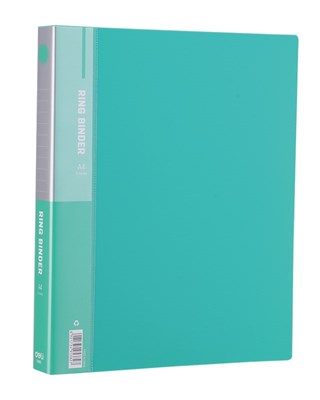 Deli Clasic Series E5382 1-Inch A4 2O-Ring Binder File