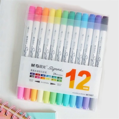 M&G APMW7607 Signme Aquarelle Brush 12 Dual Colour Markers