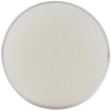 Deli E9102 Sponge Transparent Finger Paper Dampener