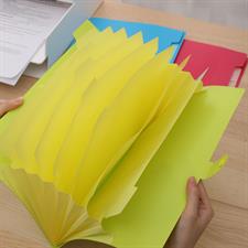 Deli EB40102 A4 8 Pockets Expanding File Snap