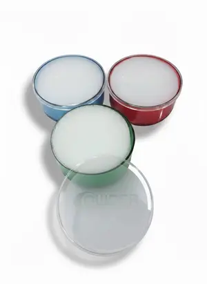Owner D-4  Round Deluxe Large Finger Paper Dampener with Cap