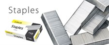 Dollar Stapler Pins ST-10