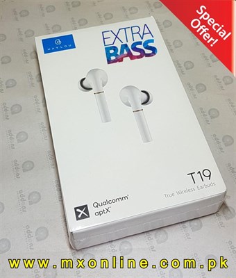 HAYLOU T19 TWS Wireless Earbuds