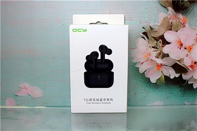 QCY T11 True Wireless Earbuds