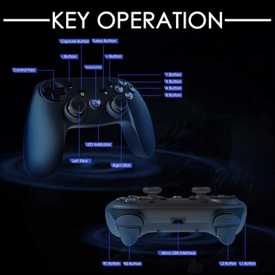 CHEREEKI Wireless Controller for Nintendo Switch, Game Controller Joystick with Dual Vibration Turbo Gamepad Support Gyro Axis Function Joypad