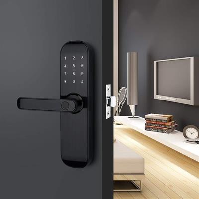 HAIFUAN M20 Bluetooth Digital Fingerprint Electric Door Lock Unlock with Card, Code, App (Compatible with Alexa) (Left Hand Door Only)