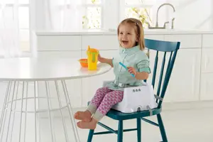 Fisher-Price Baby Deluxe Booster Seat Hook-on Portable Dining Chair with Dishwasher Safe Tray