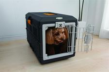 Iris Foldable Pet Carrier For Cat/Dog upto 10 Kg BPA Free Carry Case