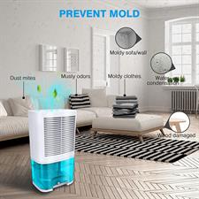 Levoair Dehumidifier 68oz(2000ml) Small Dehumidifier with Drain Hose for 6200 Cubic Feet 650 sq.ft Ultra Quiet Mini Portable Air Dehumidifier