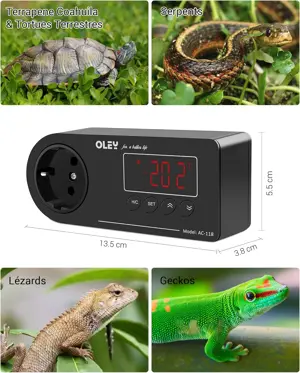 NICREW Digital LED Heating and Cooling Temperature Controller Thermostat 