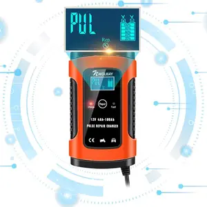 NWOUIIAY Smart Battery Charger 12V 4A for Car Bike 