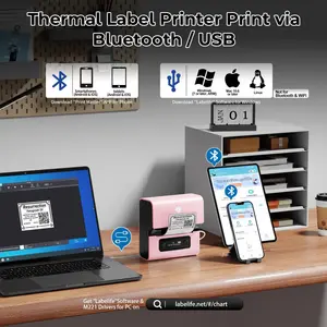 Phomemo Thermal Label Printer Portable Bluetooth Thermal Inkless Printer M221 