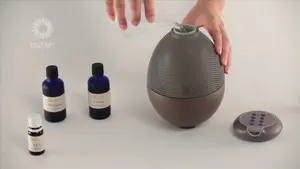 Puzhen Sha Essential Oil Aroma Diffuser 